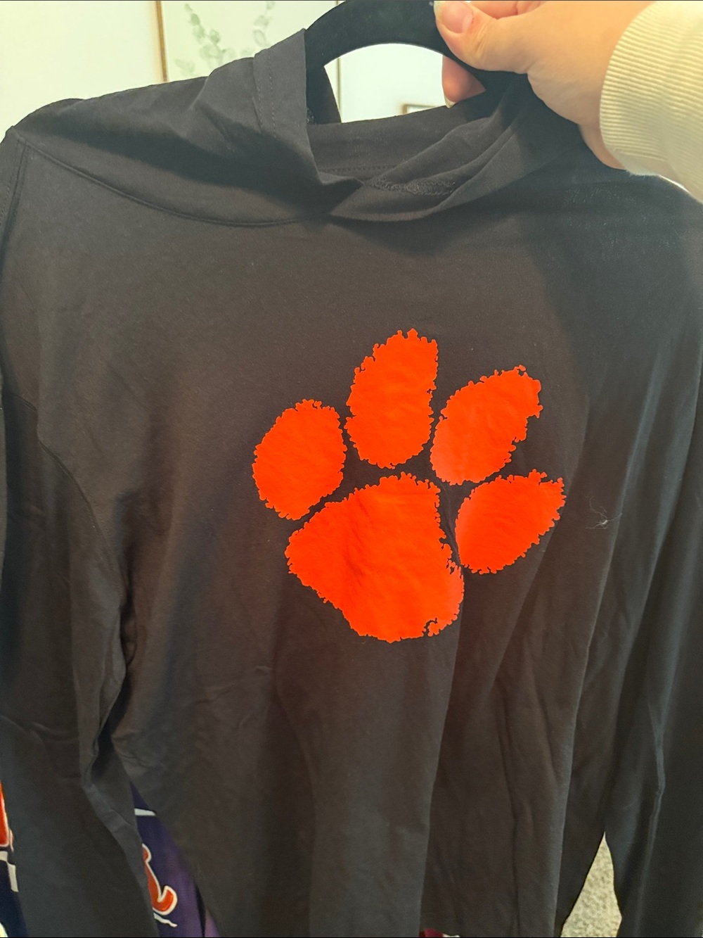 Clemson Tigers